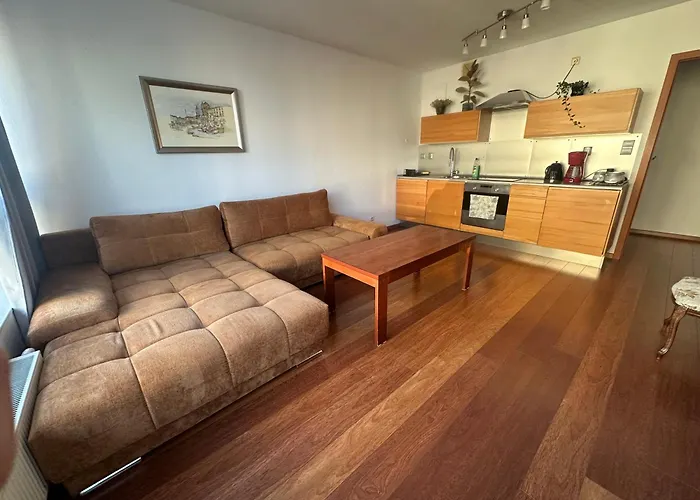 Private - Free Parking - Netflix Apartment Posen